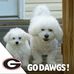 Becky McCrary - Facebook