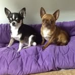 Becky McCrea - Facebook