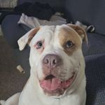 Becky McDowell - @be.cky7348 - Instagram