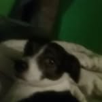 Becky Mcdowell - @becky.mcdowell.129 - Instagram