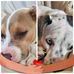 Becky McDowell - Facebook