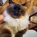 Becky Mcgee - Facebook