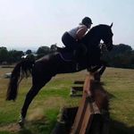 Becky McGee - @becky.mcgee.52 - Instagram