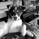 Becky McHugh - @coopertherat1 - Instagram