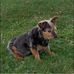 Becky McMahon - Facebook