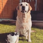 Becky Milner - @becca28621 - Instagram