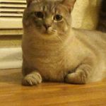 Becky Mize - @becky.mize.56 - Instagram