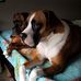 Becky Herrington Moats - Facebook