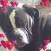 Becky Moen - Facebook