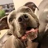 BeckyMcMoose - @beckymcmoose - TikTok
