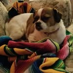 Becky Morehart - @beckymorehart - Instagram