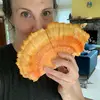 Becky Morrow - @beckyjomo - TikTok