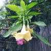 Becky Morrow - @becky.morrow - TikTok
