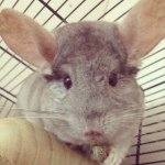 Becky Morse - @becky72653 - Instagram