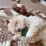 Becky Morton - Facebook