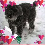 Becky Morton - Facebook