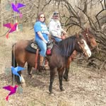 Becky Fisher Moyer - @bmoyer1960 - Instagram