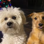 Becky Moyer - @moyer7824 - Instagram