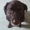 beckymoyer35 - @beckymoyer35 - TikTok