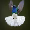 beckymazingo63 - @beckymazingo63 - TikTok