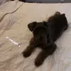 beckymazingo848 - @beckymazingo848 - TikTok