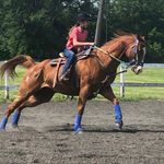 Becky Christensen Mullner - @beckymullner - Instagram