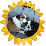 Becky Zorsch Oldham - @boldham99 - Instagram