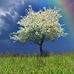 Becky Parham - Facebook