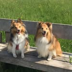 Becky Parks - @becp61 - Instagram
