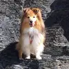 Becky Parks - @beckyparks0 - TikTok