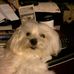 Becky Patton - Facebook