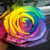 Becky Payler - @beckypayler - TikTok