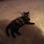 Becky Pedersen - @blpedersen511 - Instagram