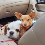 Becky Pendleton Manos - @beckymanos - Instagram