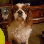 becky drake - @becky.perring.drake - Instagram