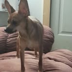 Becky Perry - Facebook