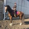 Becky - @becky.equestrian - TikTok