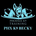 Becky | Dog Trainer - @phoenixk9.becky - Instagram