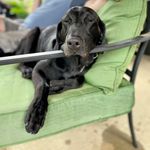Becky Schoene Pitman - @becky.pitman5 - Instagram