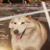 Becky Blattner - @becky.blattner - TikTok