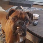 Becky Plummer - @brplummer - Instagram