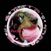 pocky.k.love🐶🎫 - @pocky.k0 - TikTok