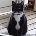 Becky Poling - Facebook