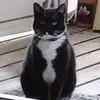 beckypoling875 - @beckypoling875 - TikTok