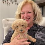 Becky Prado - @prado_meadow - Instagram