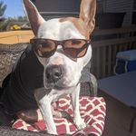 Becky Pratt - @mamap_5218 - Instagram