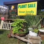 Becky's Flower Farm - @beckypratt99 - Instagram