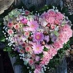 Becky L. Preece - @bl.preece.71 - Instagram