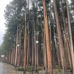 Becky Page Preece - @208_family - Instagram