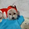 Becky Price - @becky.price13 - TikTok